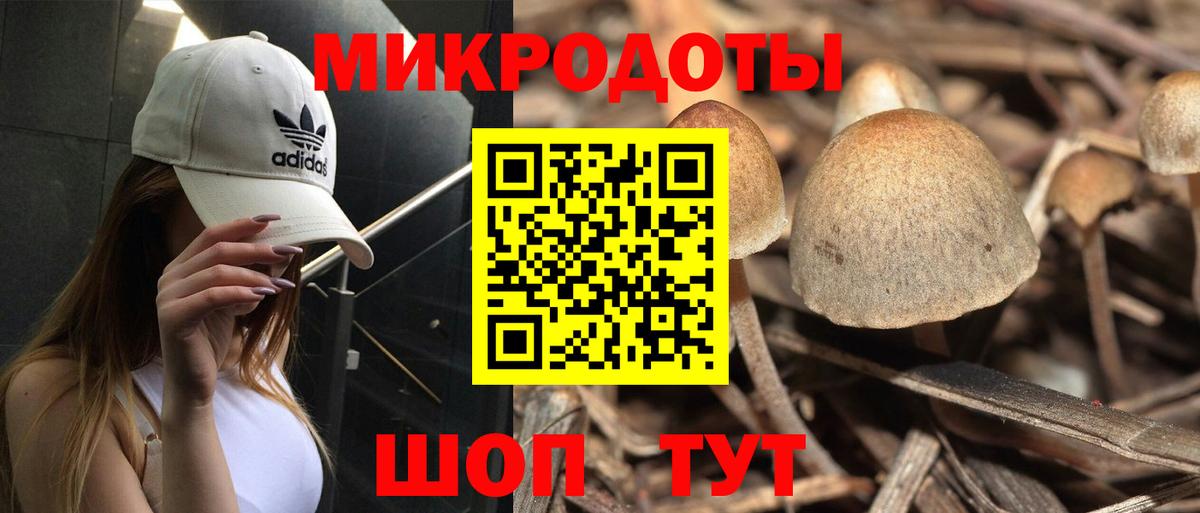 Сухой Лог  Галлюциногенные грибы Cubensis  Псилоцибиновые грибы GOLDEN TEACHER  Вход с VPN 