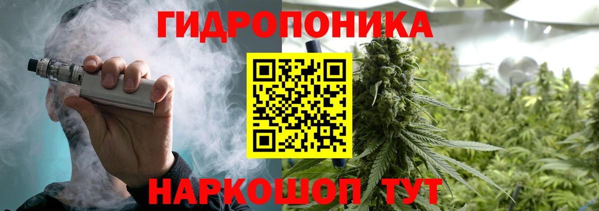 Шишки марихуана семена  Вход с VPN  Конопля семена  Сухой Лог  Бошки марихуана VHQ 